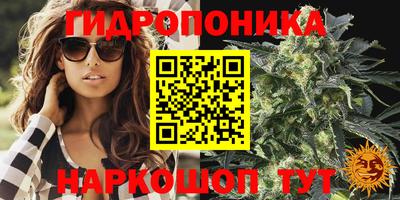 ешки Камышлов