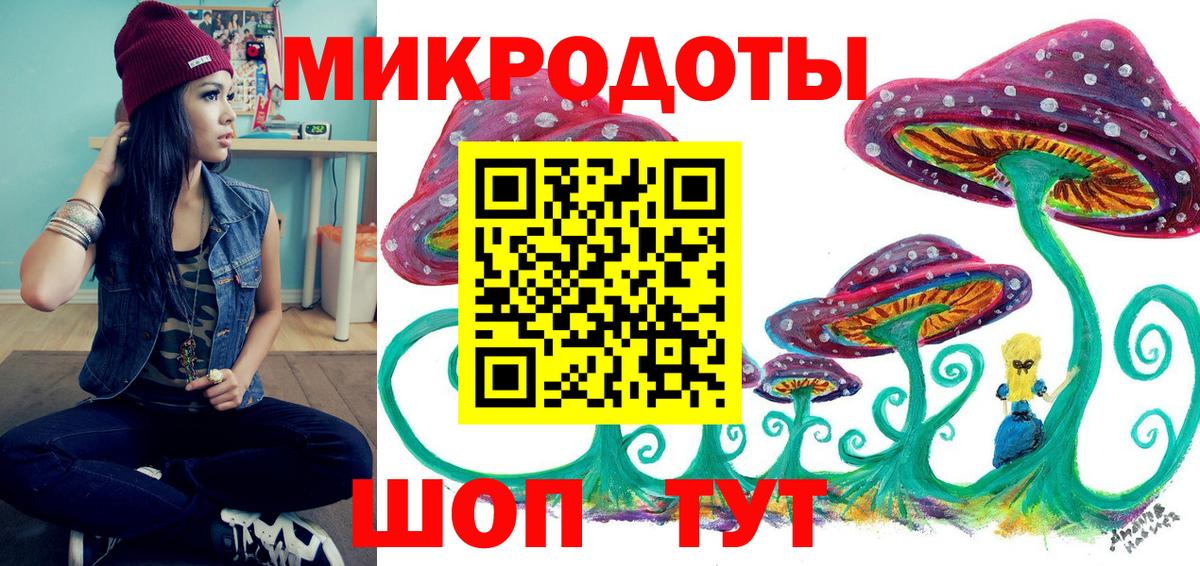 Псилоцибиновые грибы Psilocybe Волоколамск